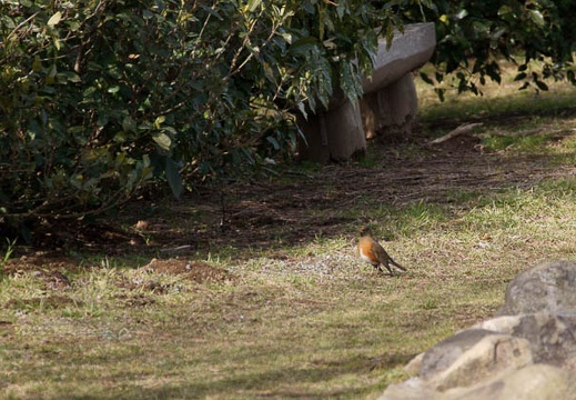 201002210939-DSC00714.jpg