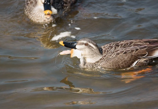 201002231241-DSC00924.jpg