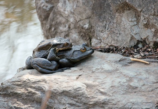 201002231248-DSC00931.jpg