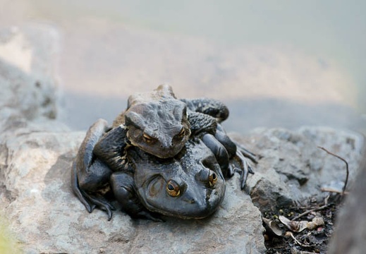 201002231248-DSC00934.jpg
