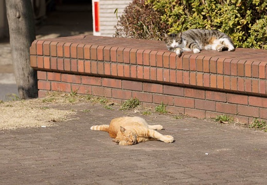 201002231257-DSC00944.jpg