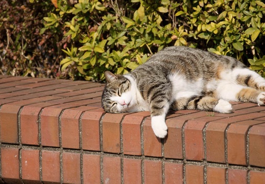 201002231257-DSC00947.jpg