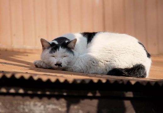02.23 川崎