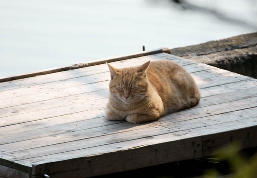 201002231404-DSC01042.jpg
