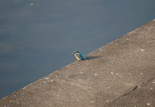 201002231552-DSC01114.jpg
