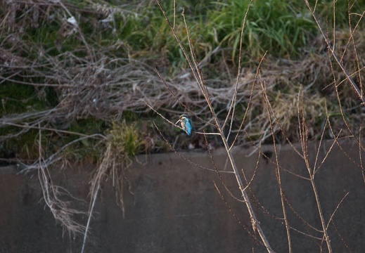 201002231611-DSC01149.jpg