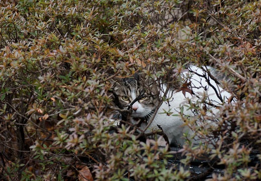 201002271111-DSC01190.jpg