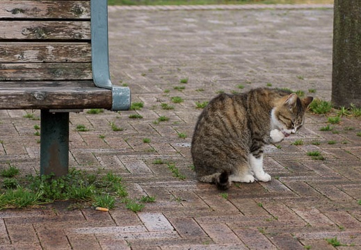 201002271143-DSC01244.jpg