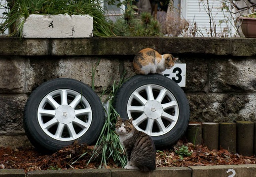 201002271220-DSC01309.jpg