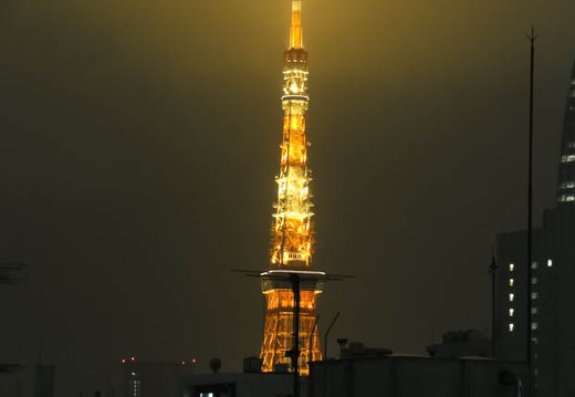 201003042054-DSC00075.jpg