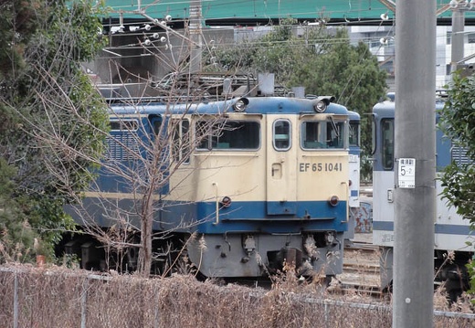201003050209-DSC00052.jpg