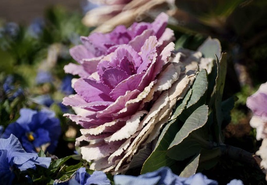 201003051301-DSC01806.jpg