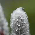 201003061506-DSC01842.jpg
