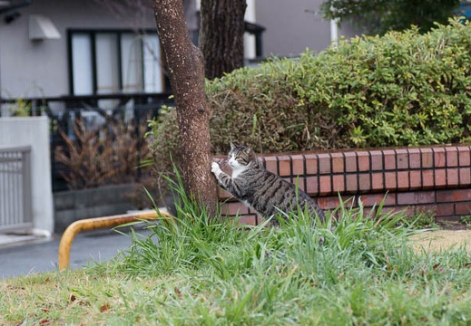 201003071345-DSC02149.jpg