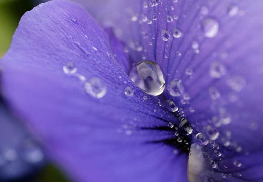 201003071404-DSC02208.jpg