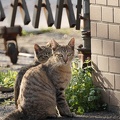 201003141546-DSC03240.jpg