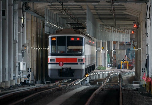 201003181418-DSC03420.jpg