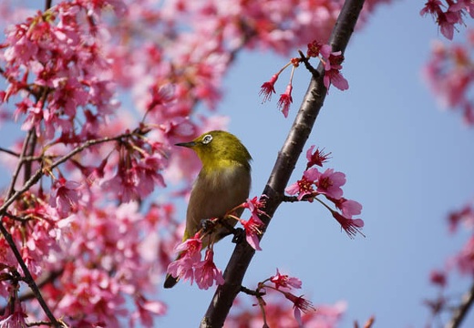 201003200952-DSC03970.jpg