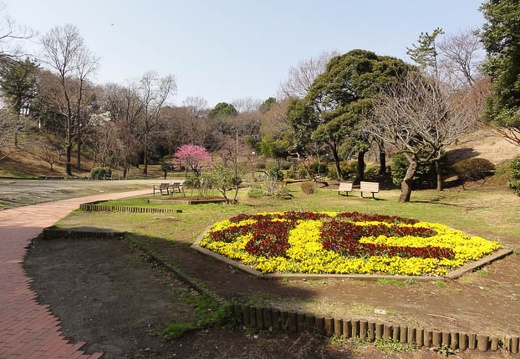 201003201037-DSC00320.jpg