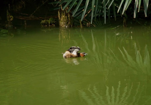 201003210854-DSC04288.jpg