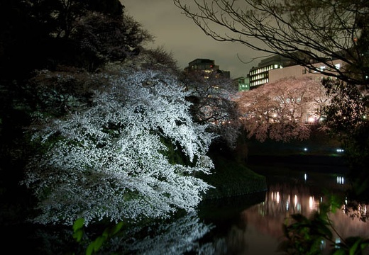 201004022033-DSC05145.jpg