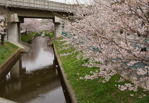 201004031014-DSC05224.jpg