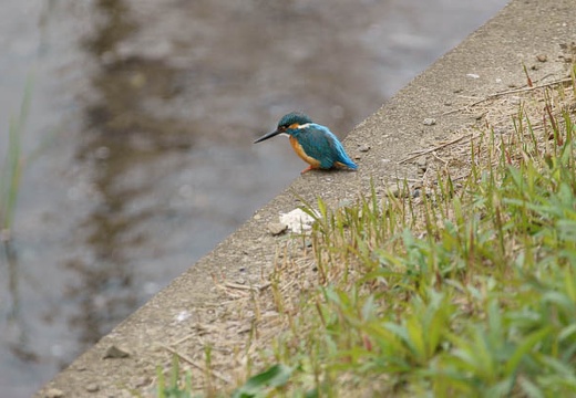 201004031019-DSC05233.jpg