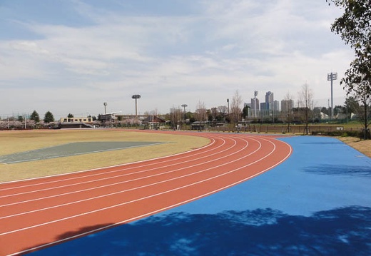 201004031312-DSC00388.jpg