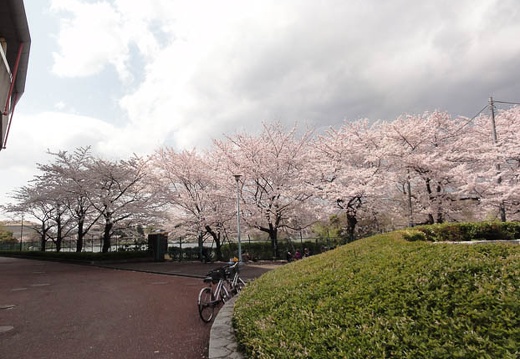 04.03 川崎