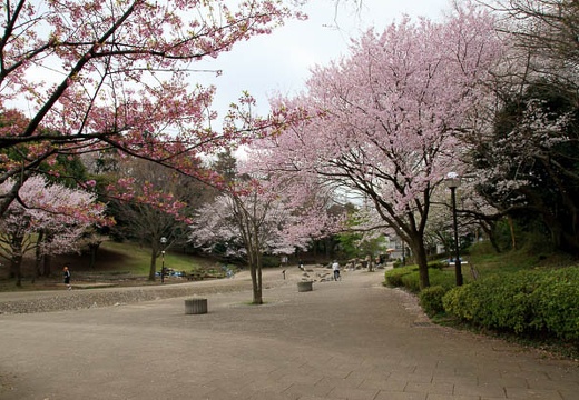 201004040756-DSC05525.jpg