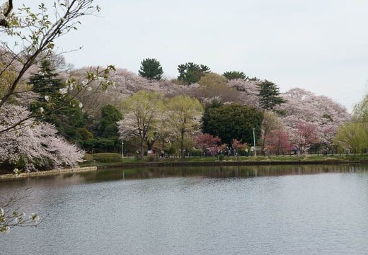 201004040808-DSC05542.jpg