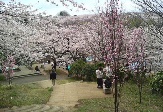 20100404084442-SO902i.jpg
