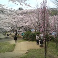 20100404084442-SO902i.jpg
