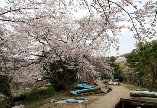 201004040850-DSC05616.jpg