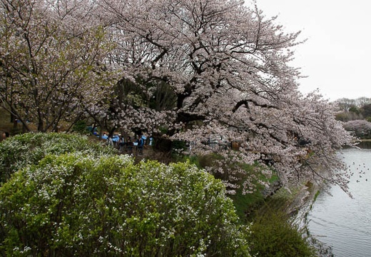 201004040912-DSC05639.jpg
