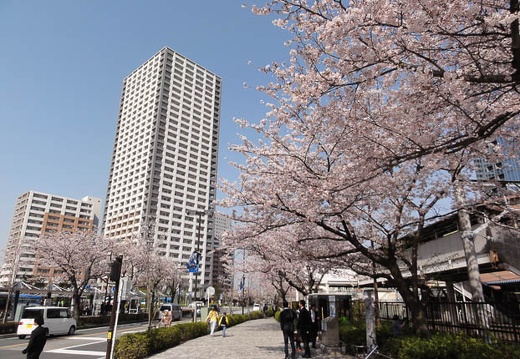 201004061436-DSC00409.jpg