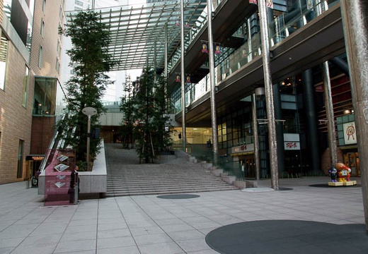 201004061644-DSC06273.jpg