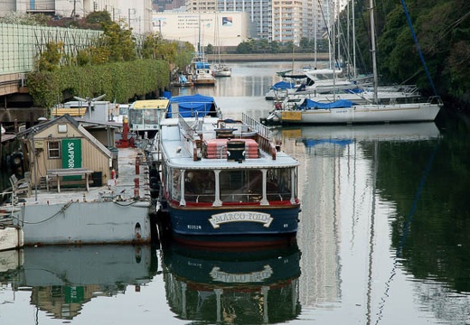 201004061654-DSC06286.jpg