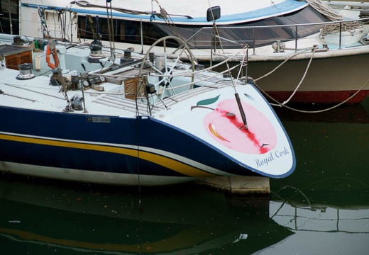 201004061655-DSC06287.jpg