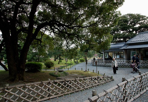 201004061656-DSC06289.jpg