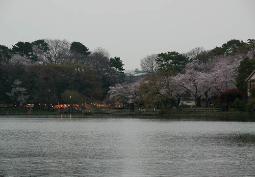 201004061759-DSC06303.jpg