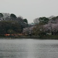 201004061759-DSC06303.jpg