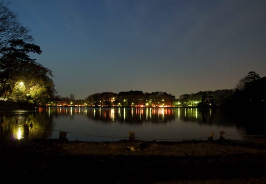 201004061838-DSC06310.jpg