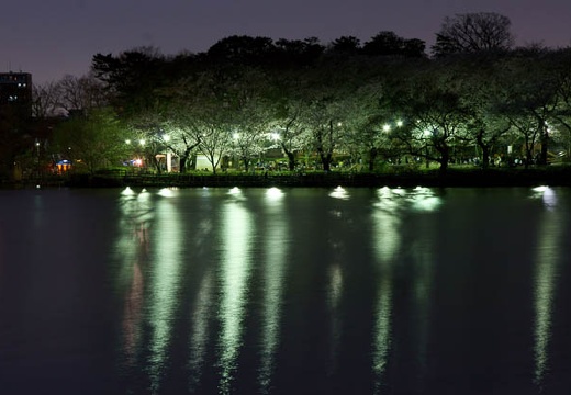 201004061845-DSC06316.jpg
