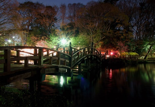 201004061852-DSC06324.jpg