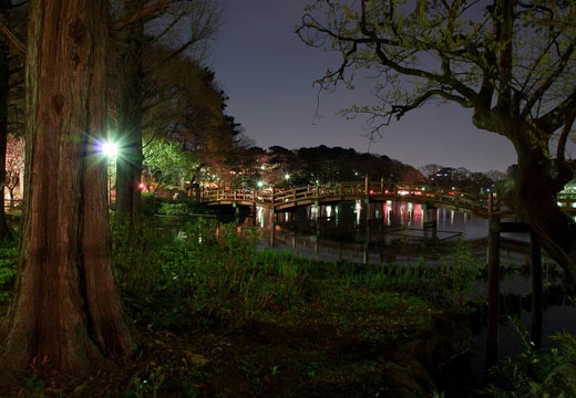 201004061855-DSC06328.jpg