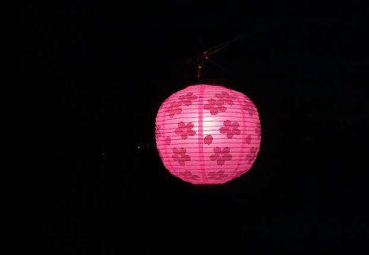 20100406190539-SO902i.jpg