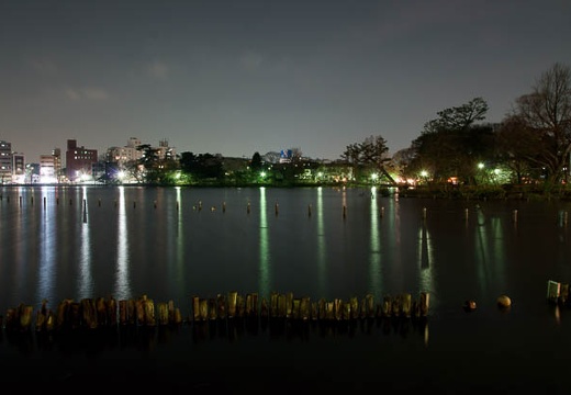 201004061916-DSC06348.jpg
