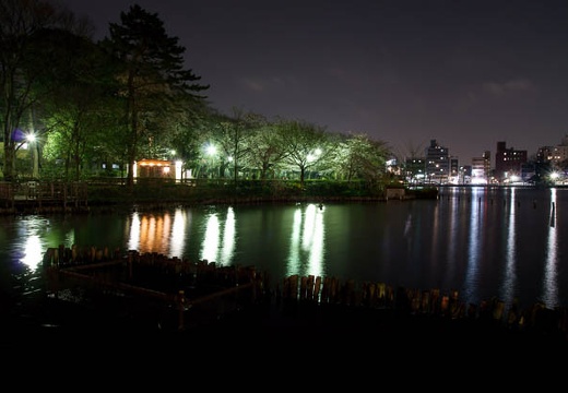 201004061917-DSC06349.jpg