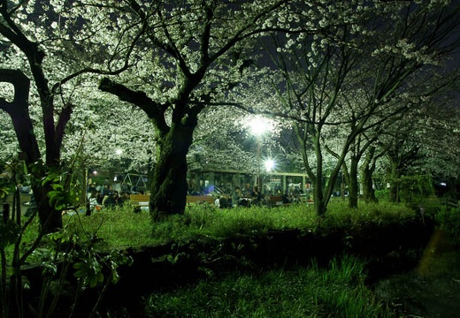 201004061928-DSC06360.jpg